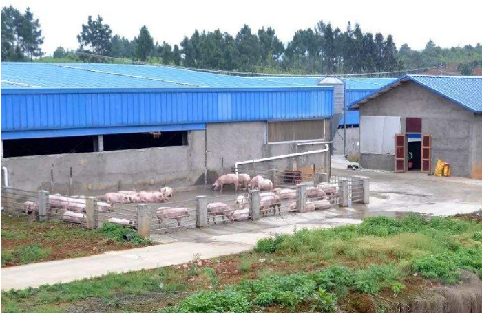 河北保定某郊區(qū)養(yǎng)豬場凈水項目